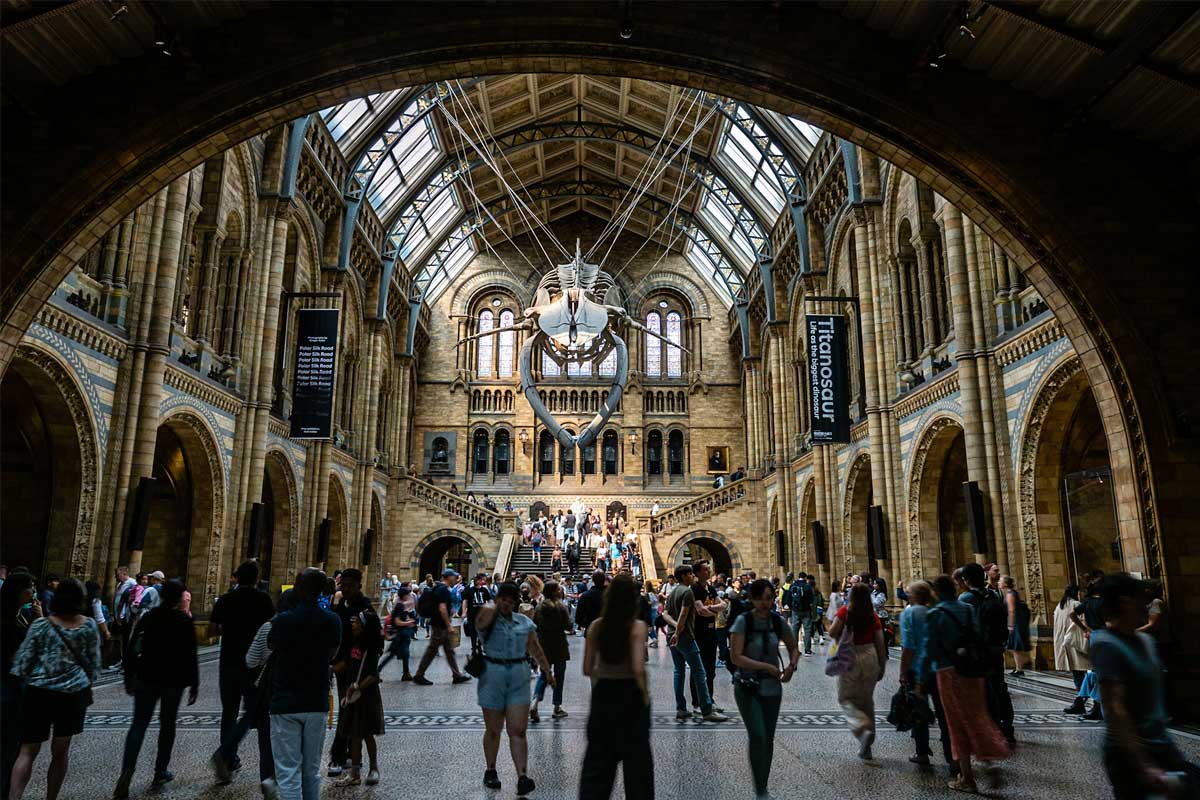tout-savoir-visite-musee-histoire-naturelle-londres