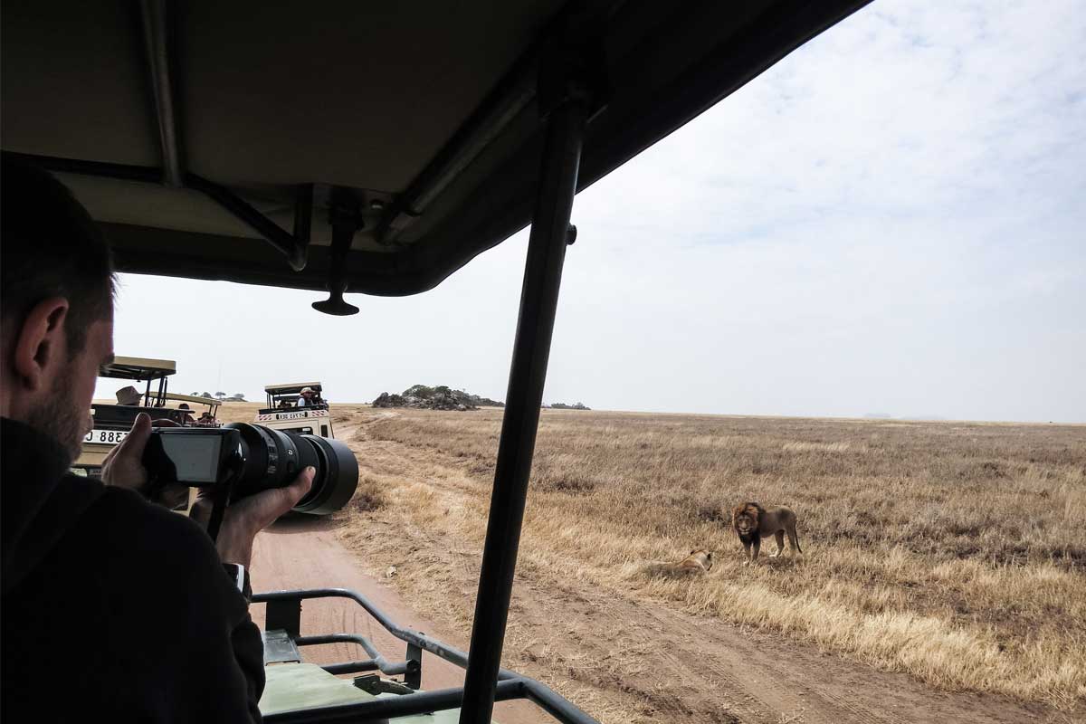 les-animaux-a-decouvrir-safari-tanzanie