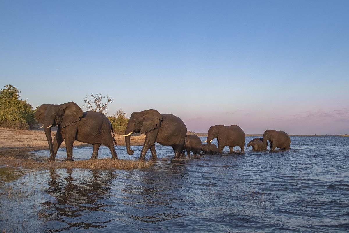 voyager-botswana-liberte-conseils-itineraire-activites